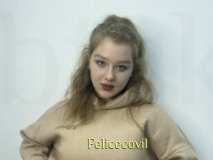 Felicecovil