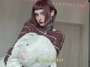 Felixwinter