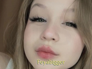 Feyabigger