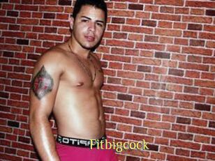 Fitbigcock