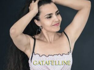 GATAFELLINE