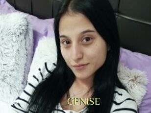 GENISE