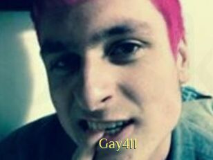 Gay411