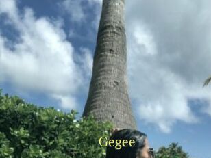 Gegee