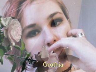 Grothia