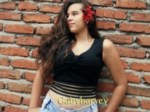 Gabyharvey