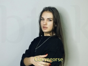 Garyngorse