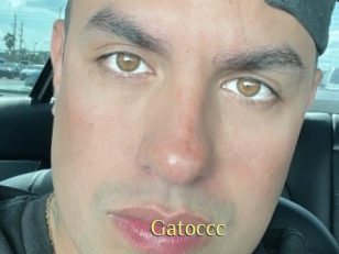 Gatoccc