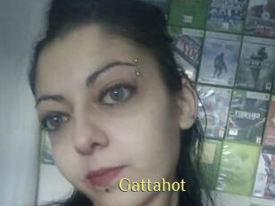 Gattahot
