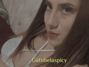 Gatubelaspicy
