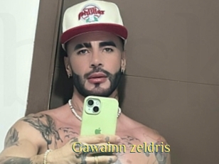 Gawainn_zeldris