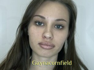 Gaynacornfield