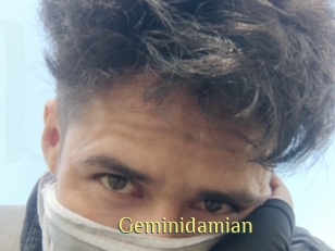 Geminidamian