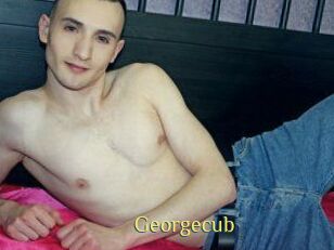 Georgecub