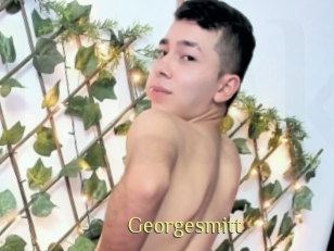 Georgesmitt