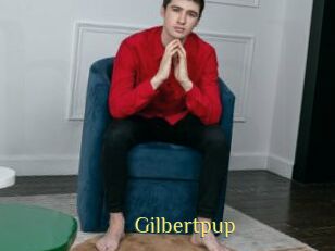 Gilbertpup