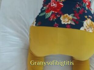 Granysofibigtitis