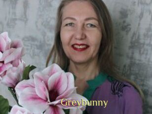 Greybunny