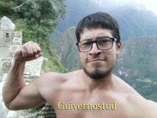 Guivernostud