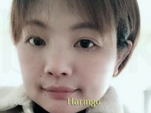 Haringo