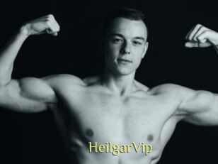 HeilgarVip