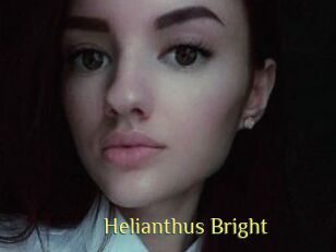 Helianthus_Bright