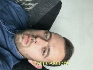 HomeAlone87
