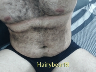 Hairybear18