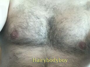 Hairybodyboy