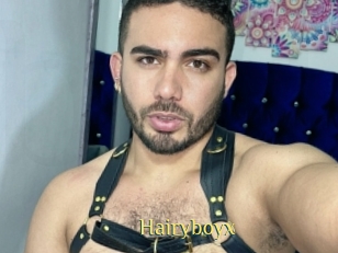 Hairyboyx