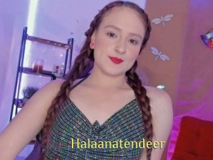 Halaanatendeer