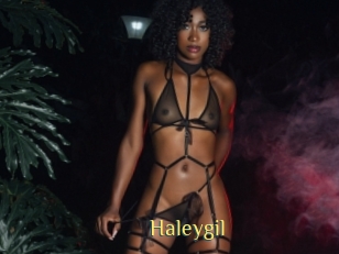 Haleygil