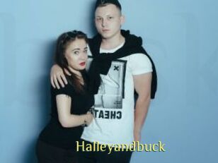 Halleyandbuck