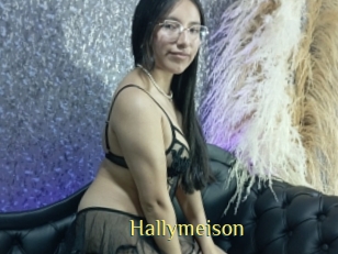 Hallymeison
