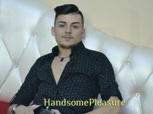 HandsomePleasure