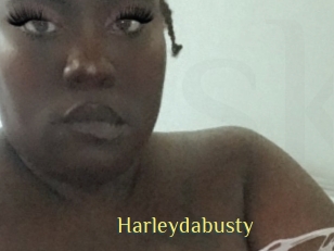 Harleydabusty