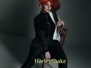 Harleysnake