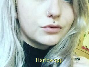 Harlowxpp