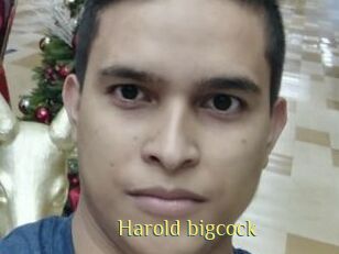 Harold_bigcock