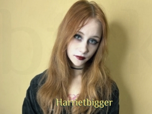 Harrietbigger