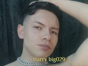 Harry_big029