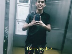 Harrybigdick