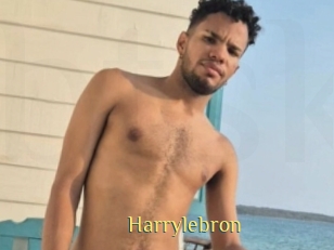 Harrylebron