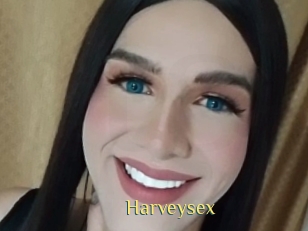 harveysex Brutal Spankings