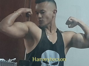 Harveytecson