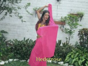 Hederrose