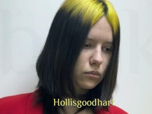 Hollisgoodhart