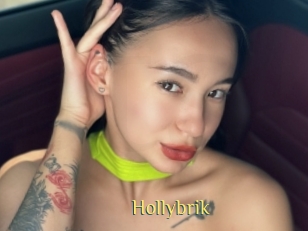 Hollybrik