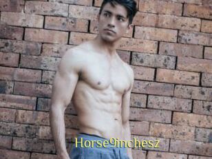 Horse9inchesz