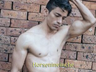 Horsenineinche